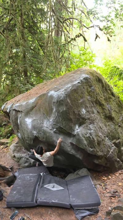 Cedar Project v10, Carver - Beta Video from nick.fell.off