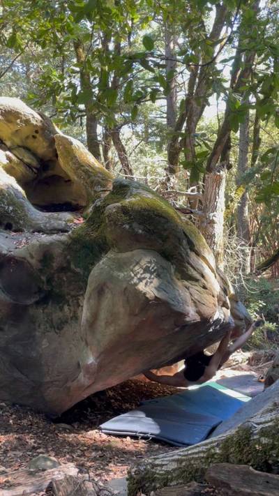 Clam Digger v9, Indian Rock - Beta Video from ericps
