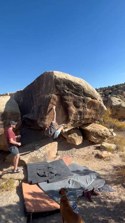 Busted Up v5, Triassic - Beta Video from travieggg