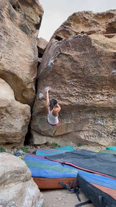 Hamtaro v8, Bishop - Beta Video from lkasmer