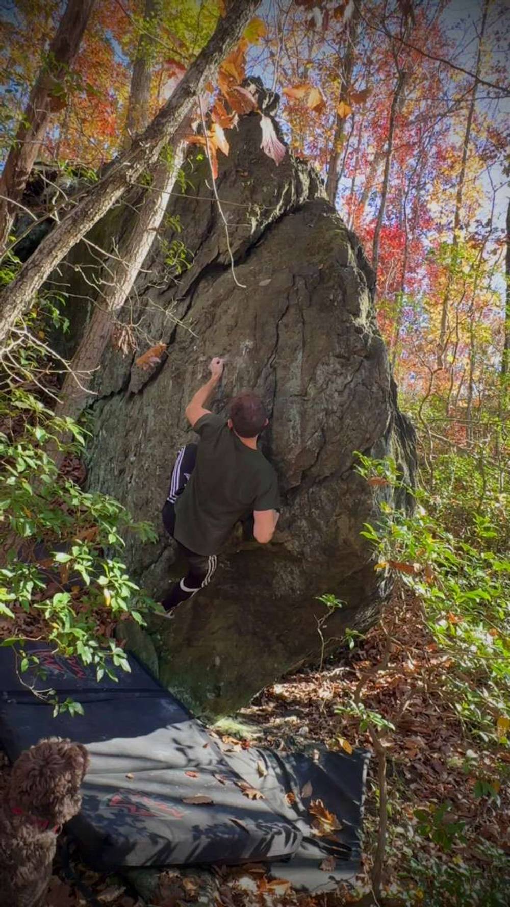 Sting v5, Gunpowder Falls - Beta Video from Theitmann
