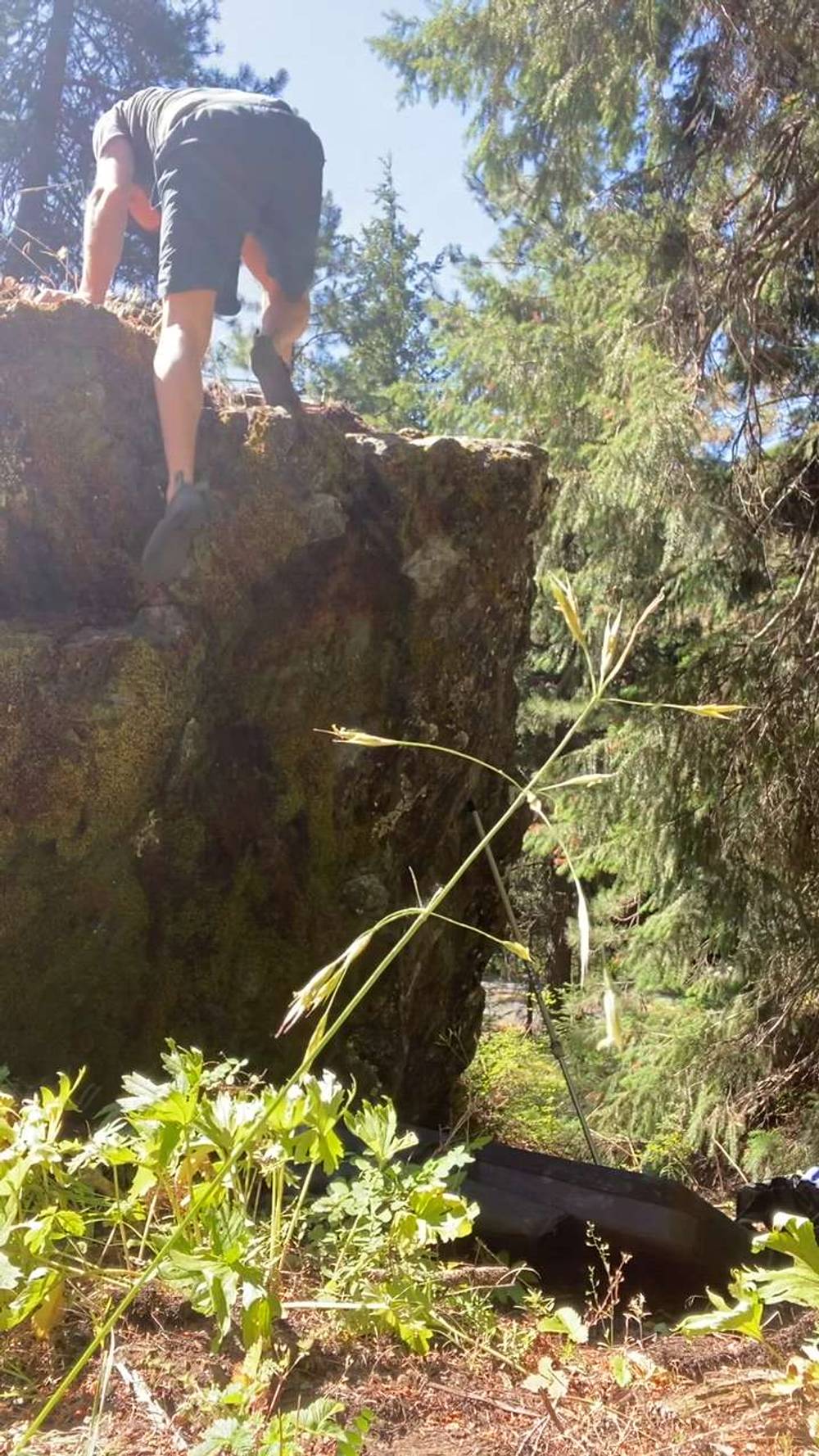 I Lichen it v2, Tieton River - Beta Video from OGDallas