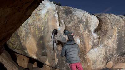 Sichuan Peppercorn v5, Moe's Valley - Beta Video from athenaw