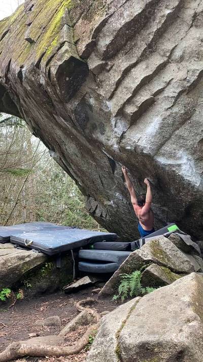 Ross Bongo Left v9, Gold Bar - Beta Video from RileyNat