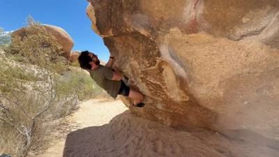Monkey Gone to Heaven v3, Joshua Tree - Beta Video from DCG