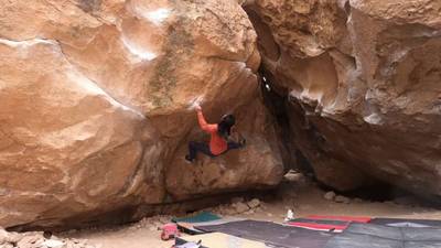 Last Dance v9, Bishop - Beta Video from jaylin