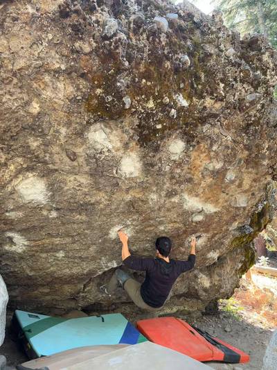 Red Vines v9, Lake Tahoe - Beta Video from yala