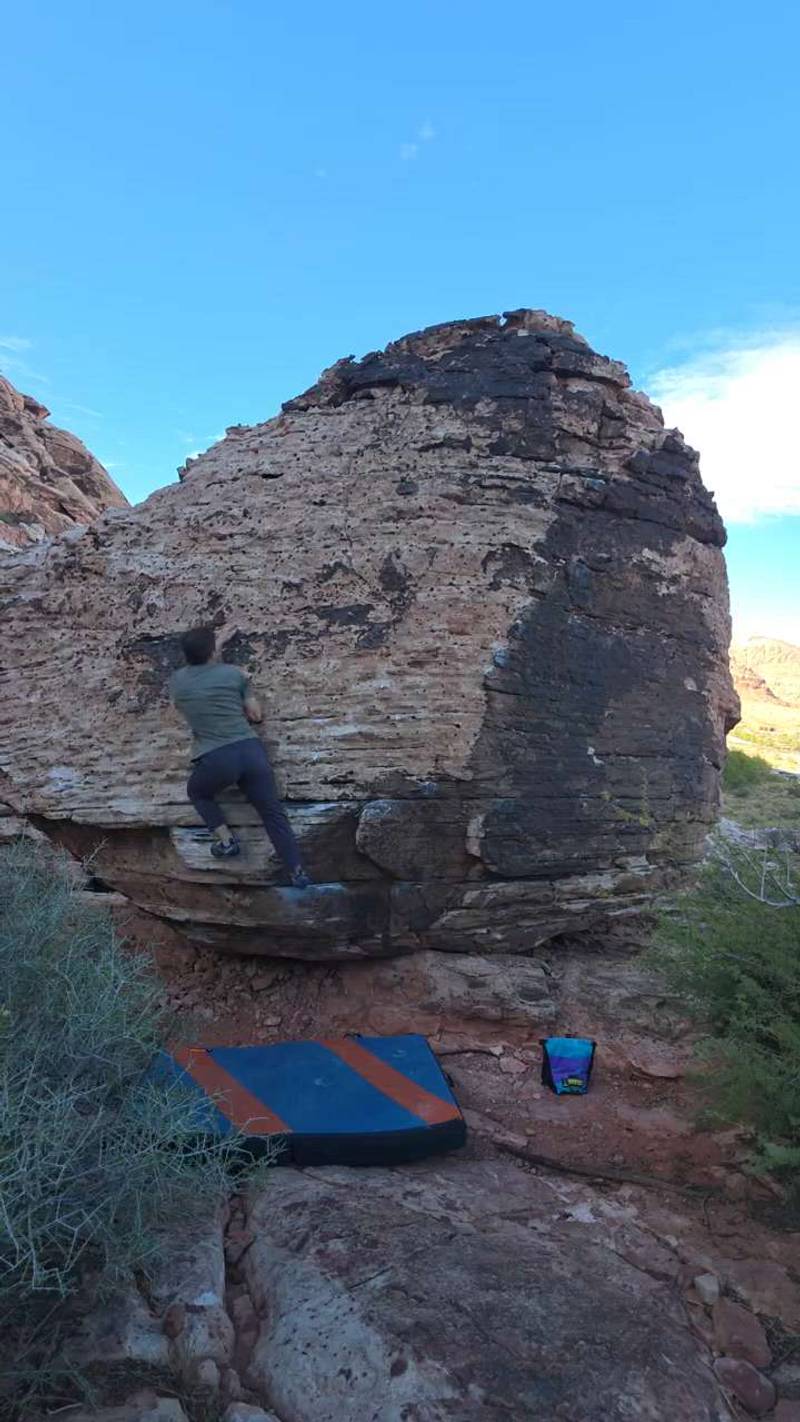 Bugs Bunny - Slot to Slab v2, Red Rock - Beta Video from TinyDynos