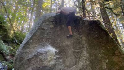 Zelda Dyno v4, Index - Beta Video from KLARSTYLE