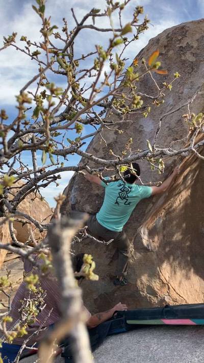 False Tidal Wave v6, Joshua Tree - Beta Video from 44