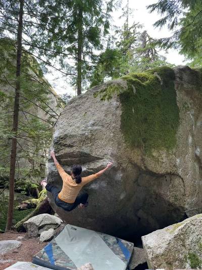 The Bee Professor v9, Squamish - Beta Video from clarky