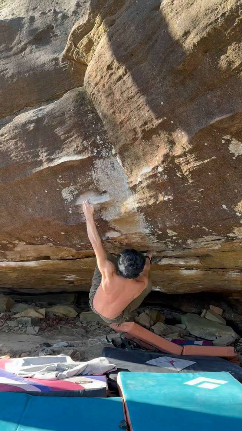 Black Snapper v7, Cowell - Beta Video from purp