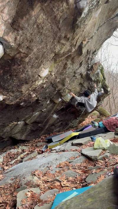 Flow v6, Cowell - Beta Video from purp