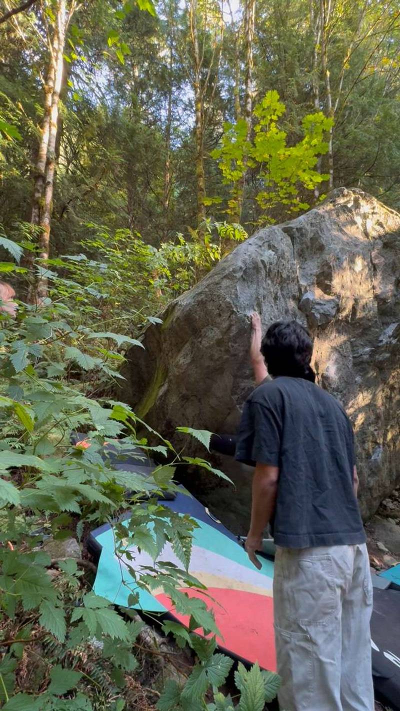 Scatter Brains v3, Squamish - Beta Video from sam.meow