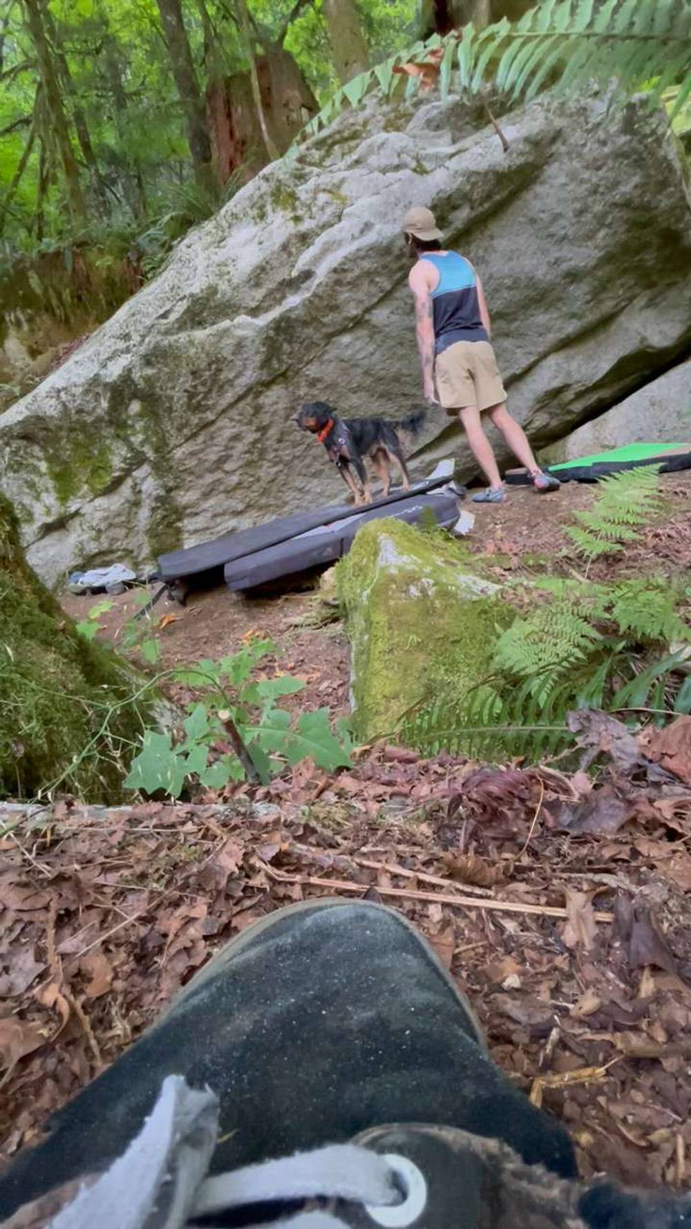 Cedar v4, Squamish - Beta Video from lliammcbean