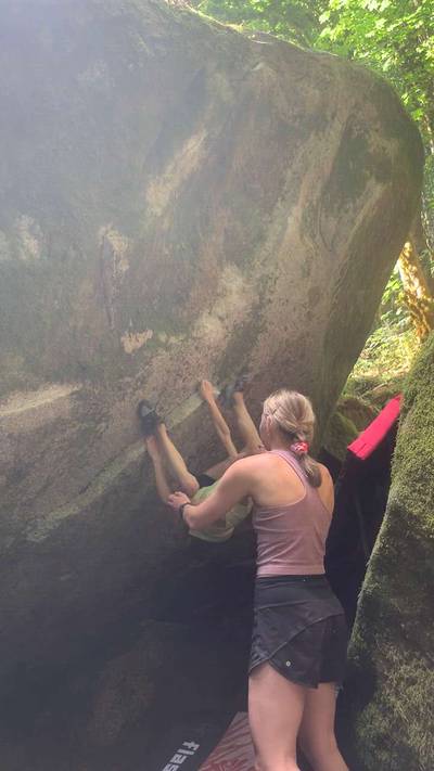 The Network Low v7, Index - Beta Video from nicolemaksi