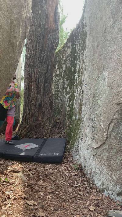 The Hop v4, Boat Rock - Beta Video from Danny.bell