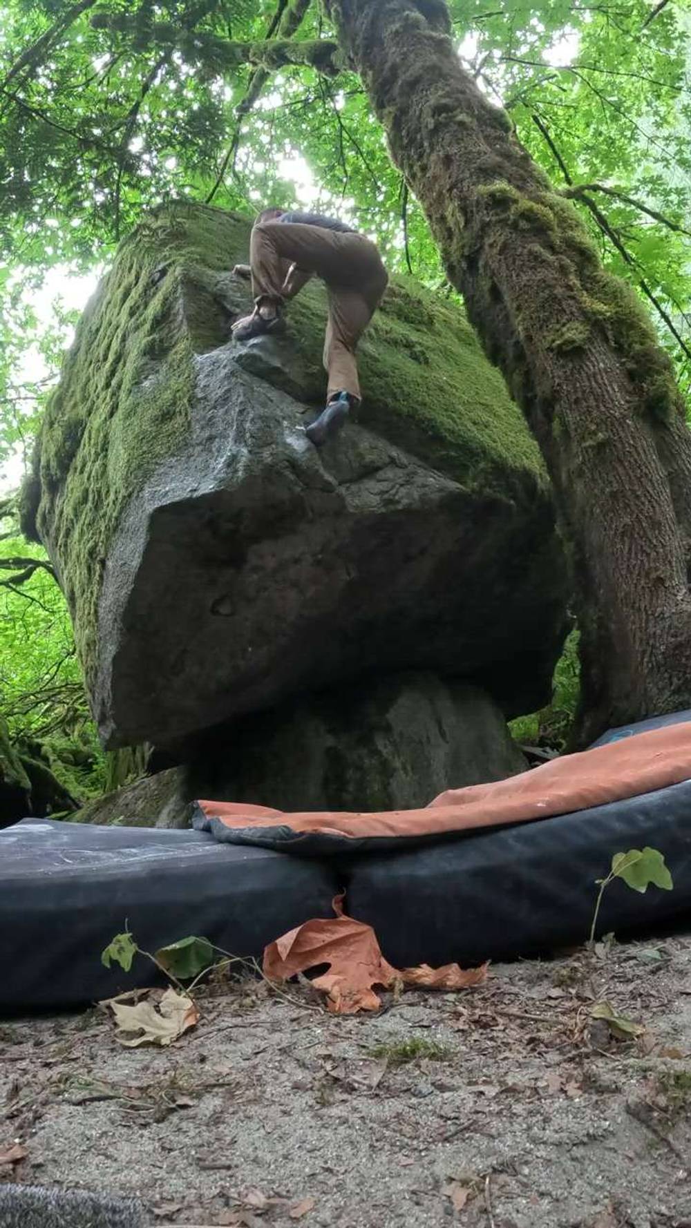 Tube Socket v5, Fraser Valley - Beta Video from jordanlmeyers