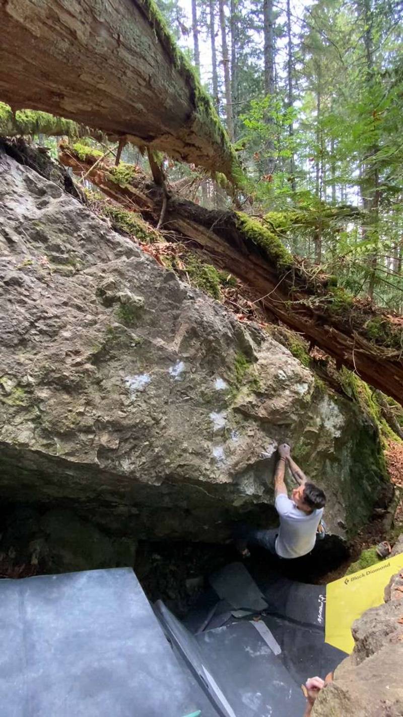 Excavation Aggravation v4, Comox Lake - Beta Video from Sato_Send