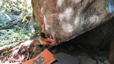 Gavel Left v8, Miller River - Beta Video from nicolesarles23