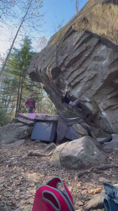 Ross Bongo v8, Gold Bar - Beta Video from lauramarie43