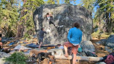 Bacchanalia v8, Lake Tahoe - Beta Video from esravesen