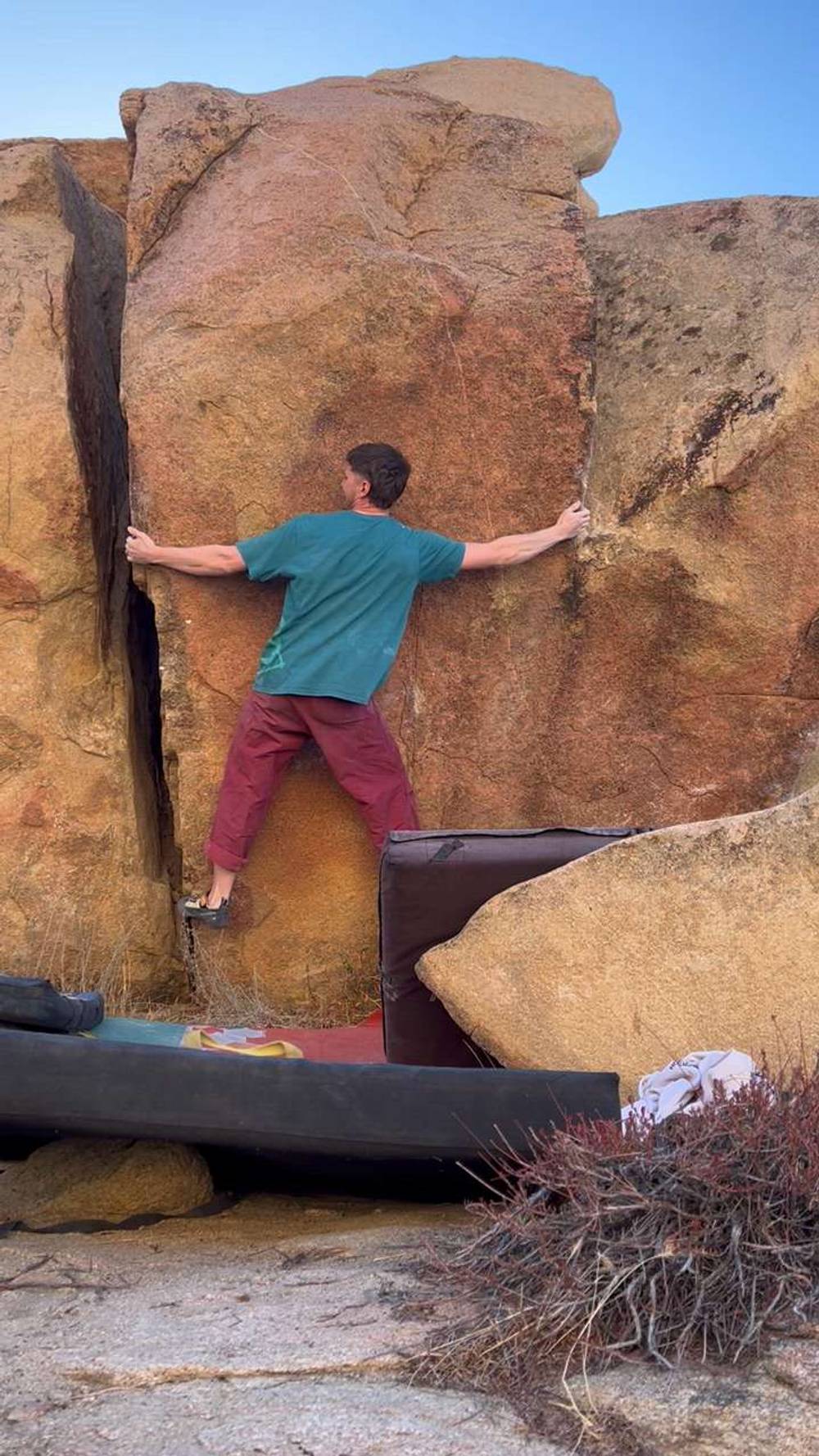Mojo Jojo v8, Joshua Tree - Beta Video from Douglas