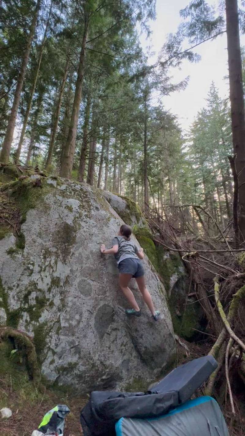 Cyclops v0, Vancouver - Beta Video from JennyRobbins