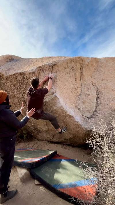 Obvious Gem v5, Joshua Tree - Beta Video from Flanders