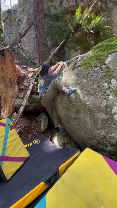 Painted Spoodle v5, Vancouver - Beta Video from Irene_Dory