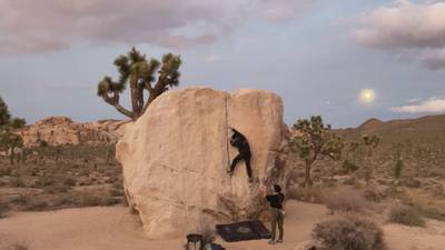 Pinhead v1, Joshua Tree - Beta Video from Christian.B.Window