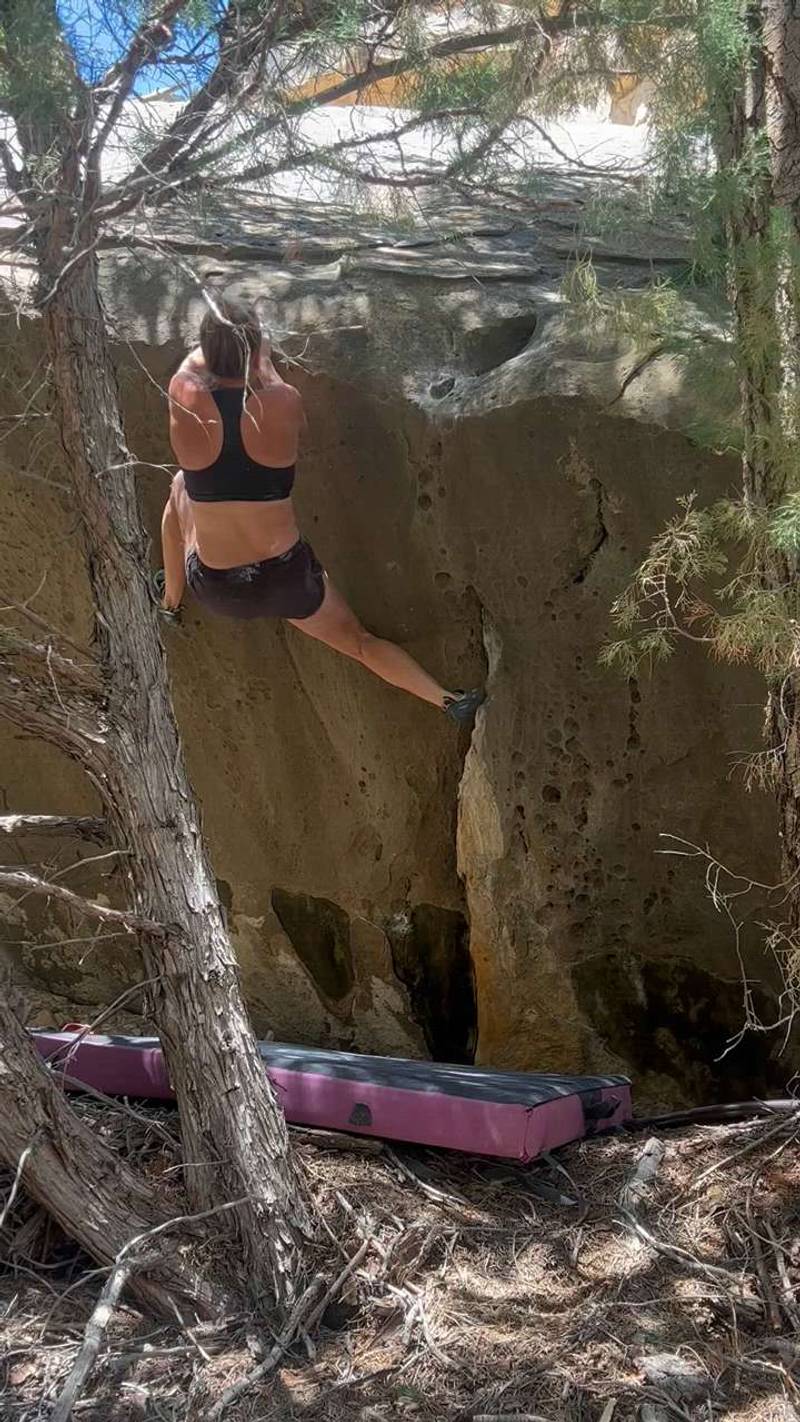 Jungle Book v2, Joe's Valley - Beta Video from TrippsJ