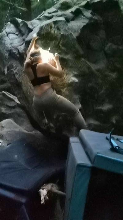 Carpenter Ants v1, Squamish - Beta Video from SMsirois