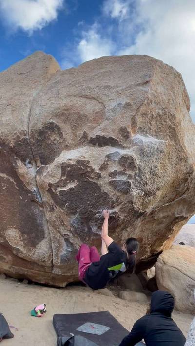 Strawberry Contraceptives v7, Joshua Tree - Beta Video from pinkpoint