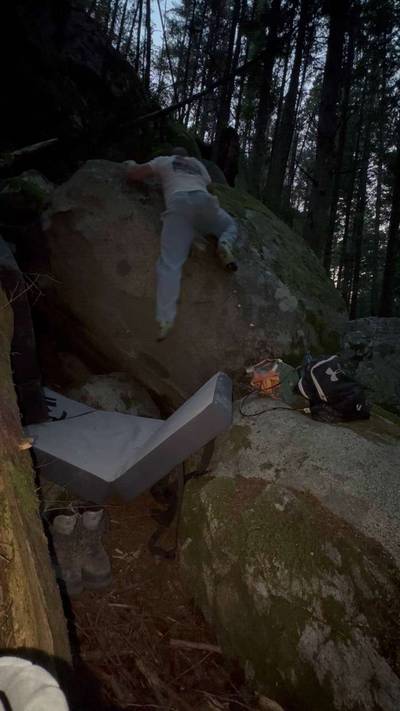 Painted Spoodle v5, Vancouver - Beta Video from branko.bajcetic