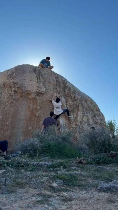 Fry Problem v3, Joshua Tree - Beta Video from its_swole_time