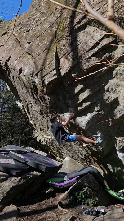 Ross Bongo v8, Gold Bar - Beta Video from vpinto