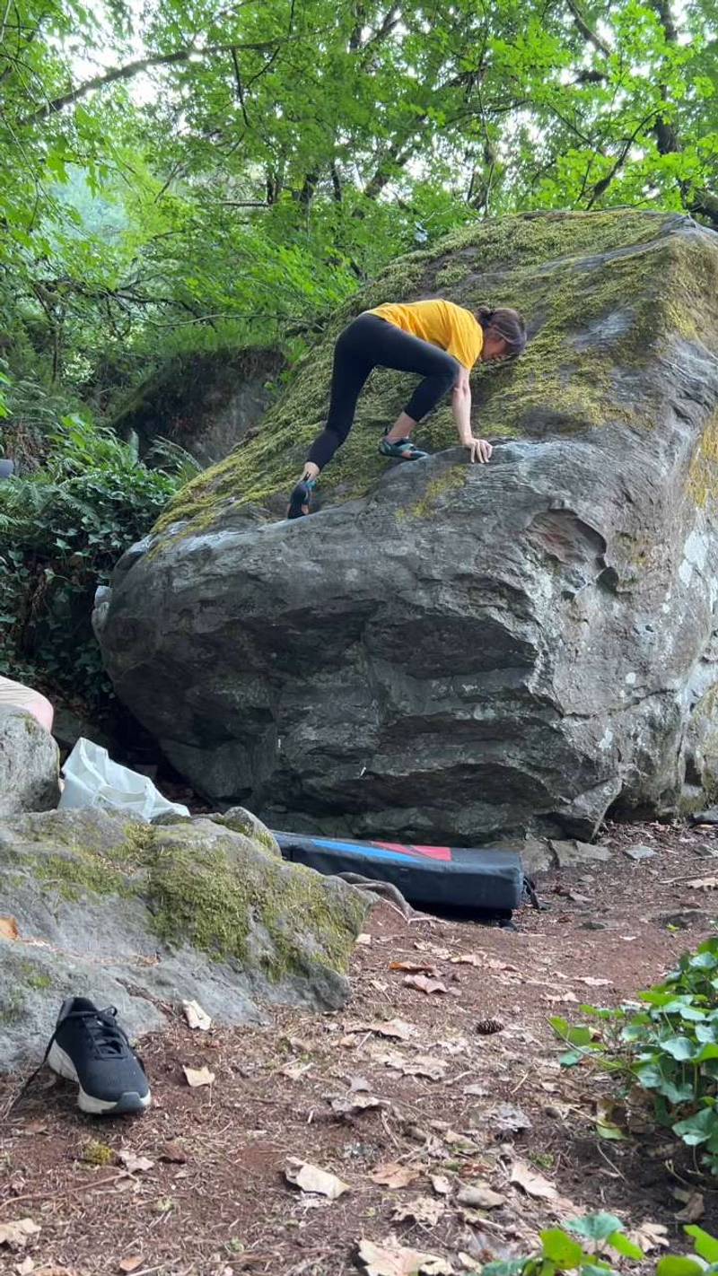 Big Rail v2, Carver - Beta Video from pnw.cat