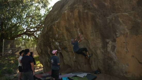 Hoof And Mouth Low v3, Stoney Point - Beta Video from breakingbeta