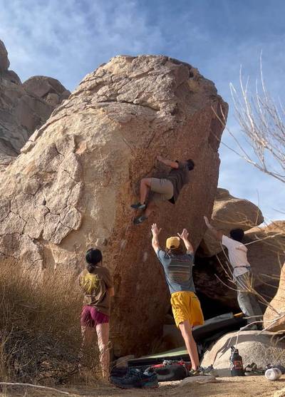 Penguins in Bondage v4, Joshua Tree - Beta Video from keav