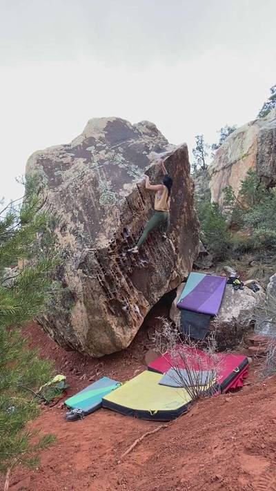 Whale Bacon v0, Red Rock - Beta Video from tashachang