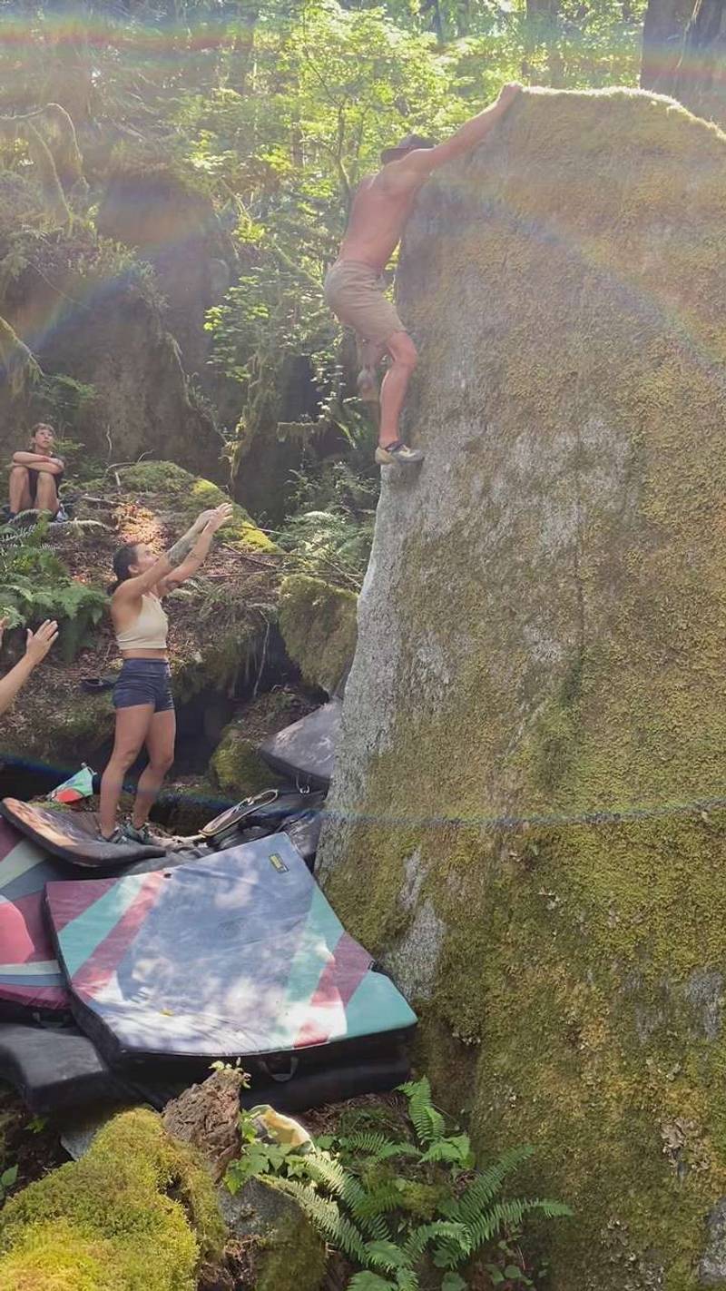 Desperate Attention v5, Index - Beta Video from TBrannen