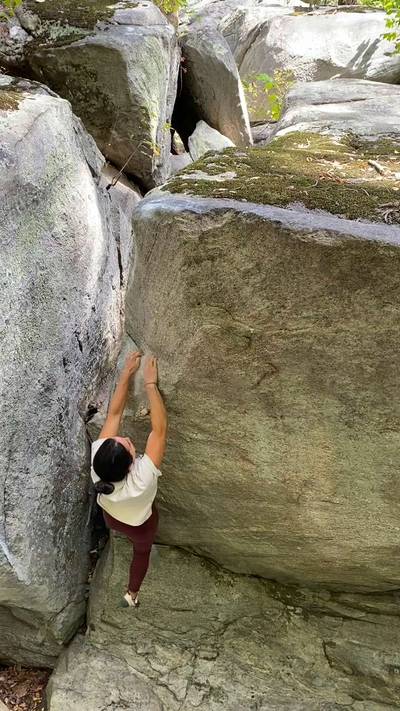 Mandibles v7, Rumbling Bald - Beta Video from bigmovepammy