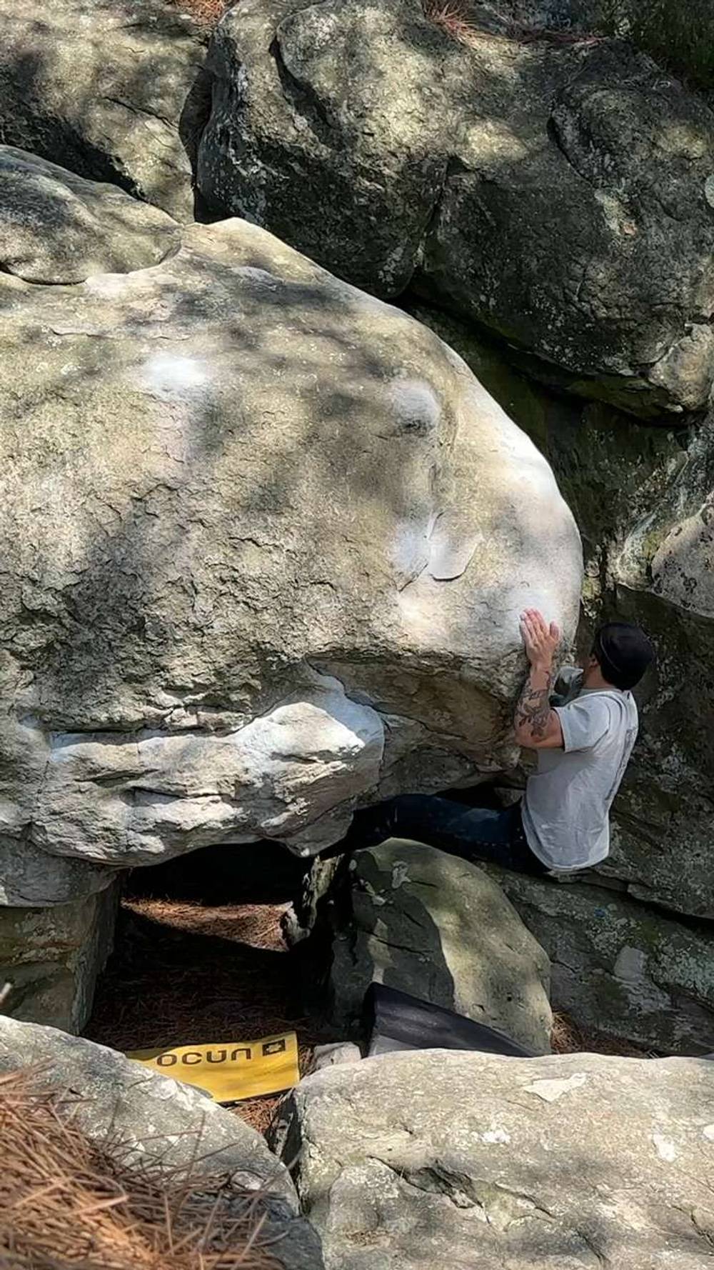 Le Dragon Du Komodo Droite v7, Fontainebleau - Beta Video from breakingbeta