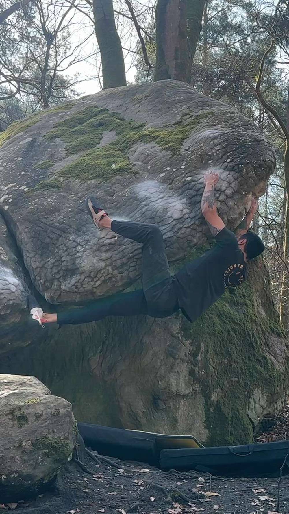 Les Chiens de Garde Assis v8, Fontainebleau - Beta Video from breakingbeta