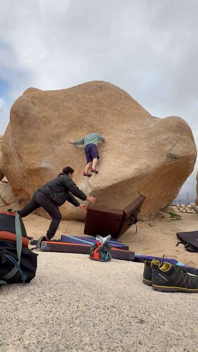 Stem Gem v4, Joshua Tree - Beta Video from tendonissues