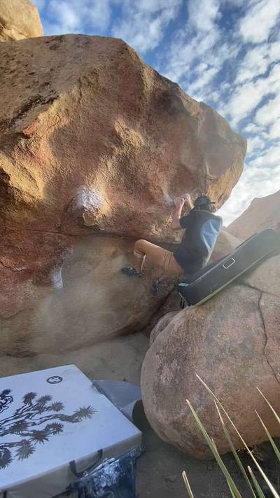 Monkeyflower v3, Joshua Tree - Beta Video from jacobdaltondavey