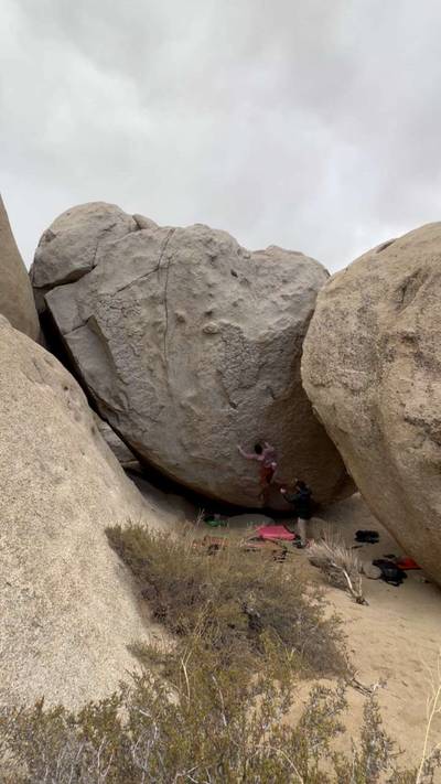 The Secrets Of The Beehive v7, Bishop - Beta Video from christianjw180