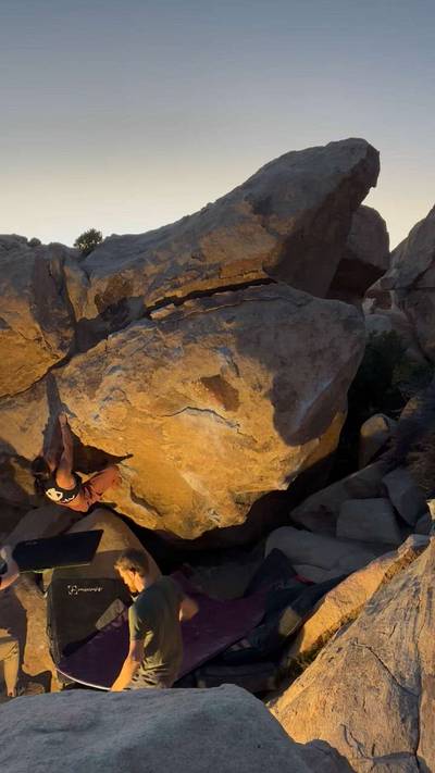 Turtle v6, Joshua Tree - Beta Video from sophiavaidya