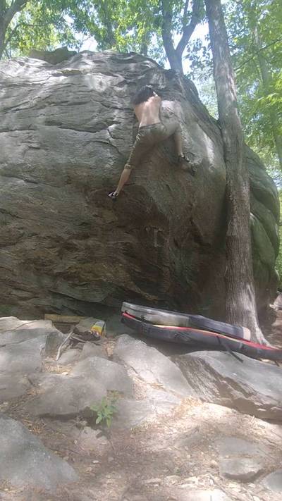 Campus Problem v5, Rumbling Bald - Beta Video from BrushUrTicks